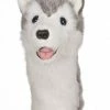 Daphnes Daphne's Husky Golf Headcover -Outlet Golf Rangefinders Store 710489502239