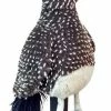 Daphnes Daphne's Road Runner Golf Headcover -Outlet Golf Rangefinders Store roadrunner a8474acc c44c 401d a119 c2b93972cf04